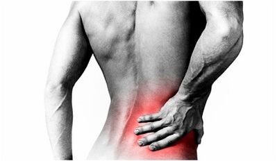The causes of back pain in the lower back